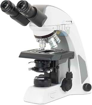 Digital microscope binocular Panthera L Cloud LED